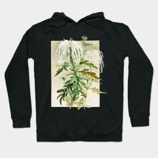 Medusa Chrysanthemum - Lunzer Hoodie